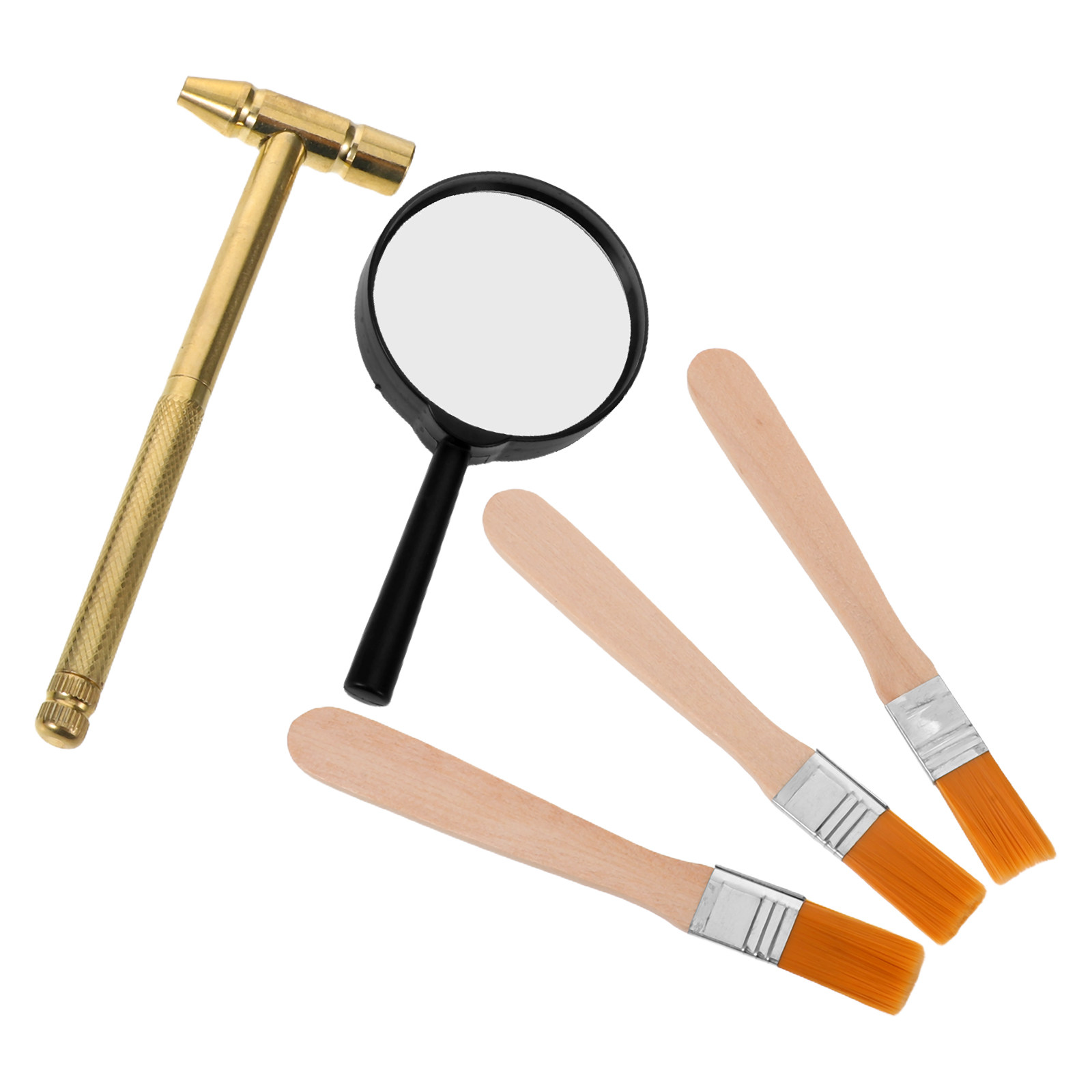 Science Kit - 1Set Kids Archaeology Excavation Set Realistic