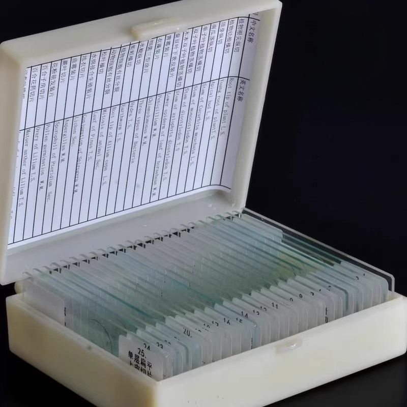 Science Max - Glass Slides Prepared Microscope Slides with