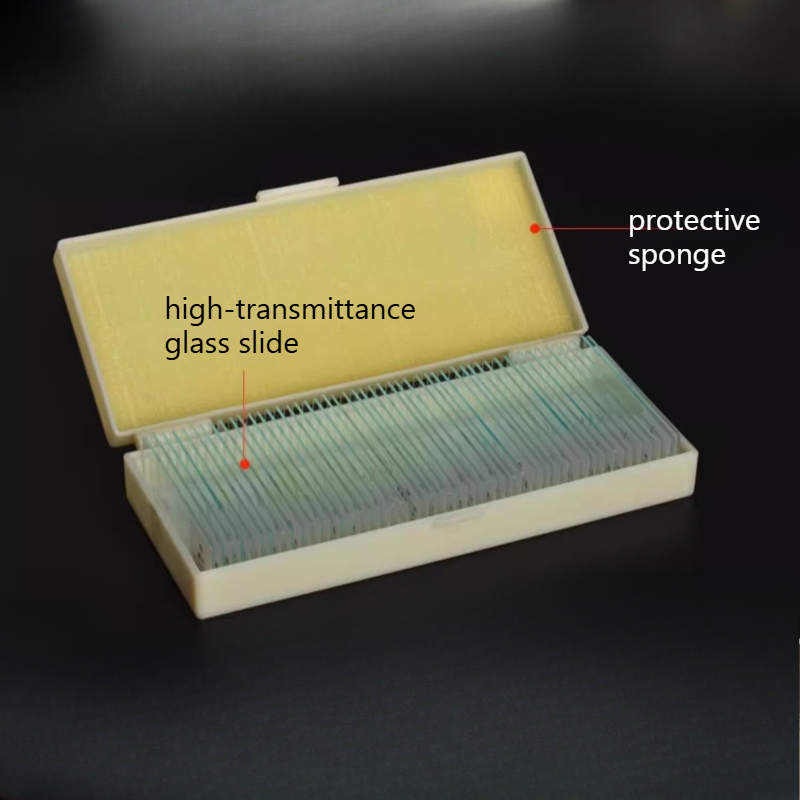 Glass Slides Prepared Microsco - огляд і ціна Science Max
